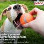 Seminarios Petco fin de semana: "Juguetes y premios", "juegos para cachorros" y "peces cíclidos"