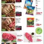 Folleto Cuponera Sams Club del 5 al 25 de noviembre 2019