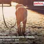 Seminarios Petco de hoy domingo: Caminando con correa relajada y lagartos y sus cuidados