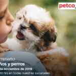 Seminarios Petco fin de semana: "Huesos y masticables", "niños y perros" y "alimentación para tu cuyo"