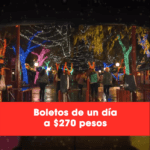 Promoción Six Flags Christmas in the Park: 60% de descuento en admisión general