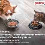 Seminarios Petco fin de semana: "mix feeding", "ansiedad por separación" y "cuidado de reptiles en época de frío"