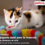 Seminarios Petco fin de semana: "Juguete ideal para tu mascota", "festividades tranquilas" y "hábitat para tu pequeño amigo"