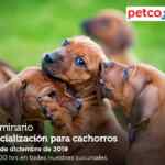 Seminarios Petco fin de semana: "Prueba lo natural", "socialización para cachorros" y "temperatura en tu acuario"