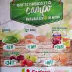 Ofertas Soriana Martes y Miércoles del Campo 24 y 25 de diciembre 2019