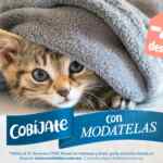 Promoción Cobíjate con Modatelas: Hasta 40% de descuento + envío gratis en telas polares