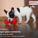 Seminarios Petco fin de semana: "juguete ideal para tu mascota", "juegos para cachorros" y "Alimentación para hurones"
