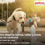 Seminarios Petco fin de semana: "Cómo elegir correa,collar y arnés", "niños y perros" y "alimento para cuyos"
