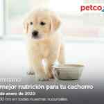 Seminarios Petco fin de semana: "nutrición para tu cachorro", "ansiedad por separación" y "alimentos concentrados para aves"