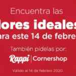 Ofertas Chedraui fin de semana de San Valentín del 14 al 16 de febrero 2020