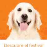Ofertas Chedraui de fin de semana del 21 al 23 de febrero