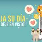 Promoción Purina Día Internacional del Gato: stickers de gato Gratis para WhatsApp