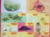 Ofertas Chedraui Martimiércoles frutas y verduras 25 y 26 de febrero 2020
