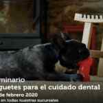 Seminarios Petco fin de semana: "Juguetes para cuidado dental", "tortugas acuáticas" y "no más brincos"