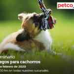 Seminarios Petco fin de semana: "Juegos para cachorros", "primeros alimentos para cachorros" y "plantas y diseño para tu acuario"
