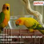 Seminarios Petco Fin de semana: "Premios cuidado dental", "Caminando con correa floja" y "Aves del amor"