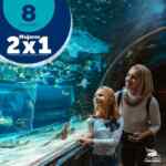 Promoción Acuario Inbursa Día de la Mujer: 2x1 en entradas para todas las mujeres hoy 8 de marzo