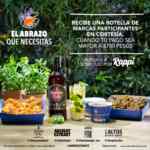 Promoción Fisher's: Botella GRATIS en pedidos a domicilio por Rappi de más de $700
