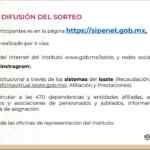 Créditos y apoyos del Gobierno de México para reactivar la economía durante la pandemia por Covid-19