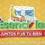 Promoción Bodega Aurrerá Esenciales 2020: más de 100 productos básicos desde $3.50