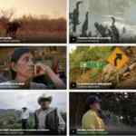En FilmIn Latino Muestra de Cine Gratis por el Día Mundial del Medio Ambiente 2020