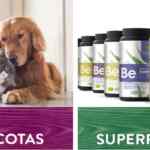 Código de cupón ösom de $100 de descuento en su nuevo servicio de supermercado osommart.com