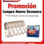 Folleto de ofertas Oxxo del 11 de junio al 8 de julio 2020