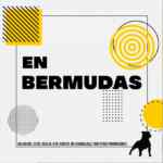Rebajas de verano Cuidado con el Perro: 30% de descuento en bermudas