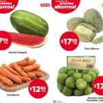 Ofertas HEB Frutas y Verduras del 21 al 27 de julio 2020