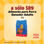 Ofertas Oxxo Básicos del Ahorro del 9 de julio al 12 de agosto 2020