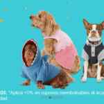 Ofertas Petco Día del Perro 2020: Hasta 50% de descuento, 3x2 en productos y más