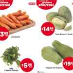 Ofertas HEB Frutas y Verduras del 25 al 31 de agosto 2020