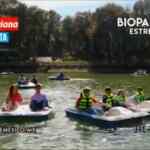 Cupón Soriana de 4x2 en Bioparque Estrella en compras de $250 o más
