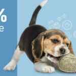 25% de descuento en juguetes para perro en Maskota (en tiendas y online)