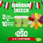 Promoción Helados Sultana Fiestas Patrias: 2 litros de helado + 10 paletas por $250