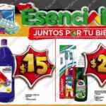 Folleto Bodega Aurrerá Esenciales 2020 del 15 de octubre al 3 de noviembre