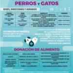 Alimento para mascotas y esterilizaciones Gratis en CDMX Alcaldía Coyoacán