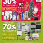 Folleto Soriana Buen Fin 2020 del 9 al 20 de noviembre