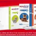 Ofertas Petco El Buen Fin 2020 25% de descuento en alimento y más