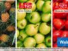 Ofertas Martes de Frescura Walmart 17 de noviembre 2020