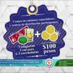 Promo Boing y Pascual Navidad 2020: canjea una vajilla con 3 empaques + $100
