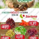 Ofertas Soriana Martes y Miércoles del Campo 29 y 30 de diciembre 2020