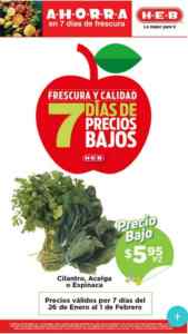 Imagen de la promo