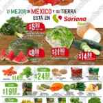 Folleto Soriana Super Martes y Miércoles del Campo 5 y 6 de enero 2021