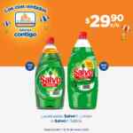Ofertas Chedraui fin de semana en carnes, productos de limpieza y más al 10 de enero 2021