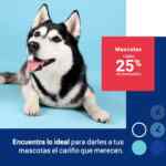Segundas Rebajas Liverpool Gran Barata 2021: Hasta 50% de descuento del 7 de enero al 7 de febrero