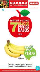 Imagen de la promo