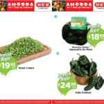 Ofertas HEB Frutas y Verduras del 23 de febrero al 1 de marzo