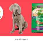 Ofertas Soriana Días de Mascotas: hasta 40% de descuento en accesorios y 20% en alimento