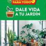 Ofertas Walmart Rebajas para Todos en plantas para tu hogar